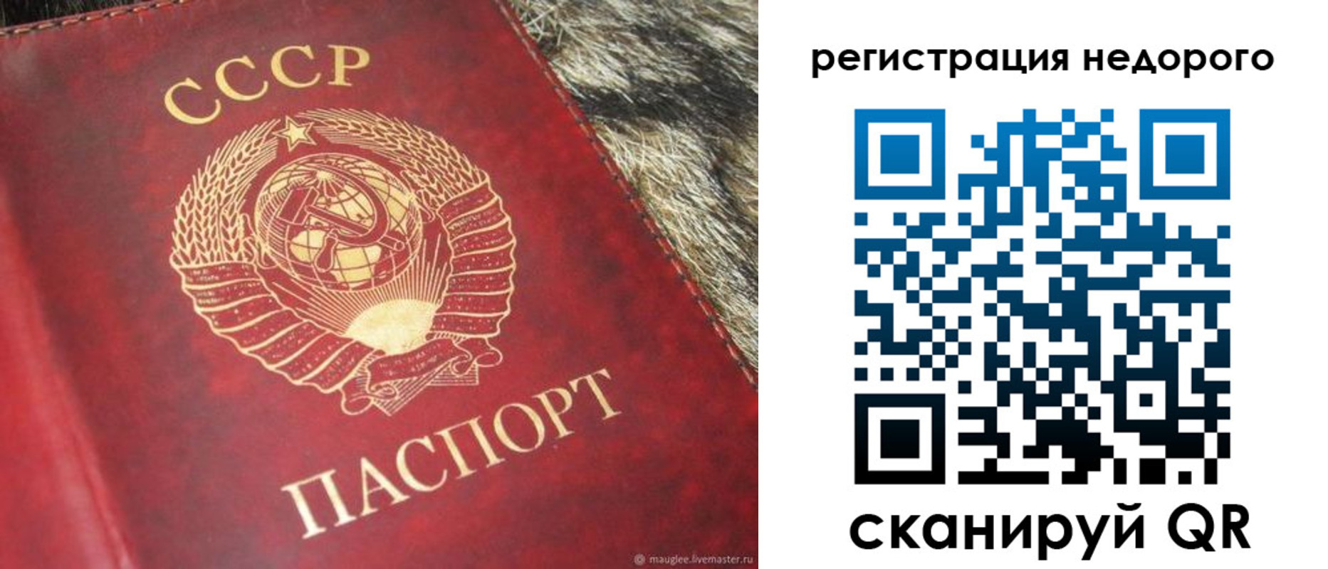 прописка ребенка в Спасске-Дальнем